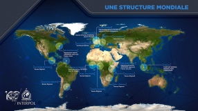A global structure